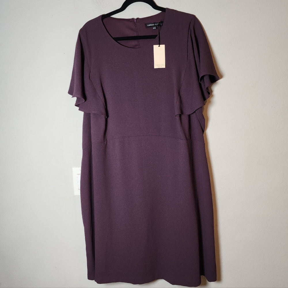 NWT Capsule Flutter Sleeve Knee Length Purple Dress Wedding Formal Plus Size 22